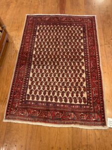 Paisley Persian rug