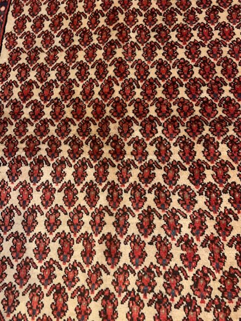 Paisley Persian rug