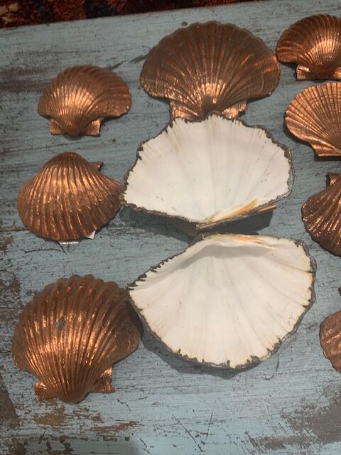 Copper covered clam shells