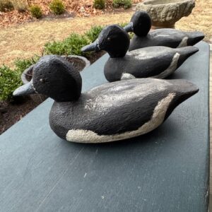 Duck decoy