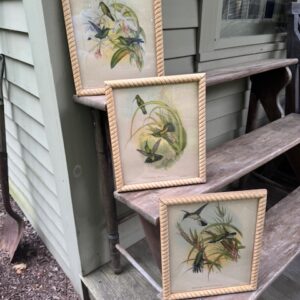 Gould Vintage Bird Prints Rope Frames